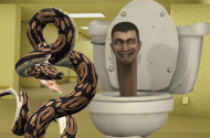 Python Snake Kill Skibidi Toilet Backrooms